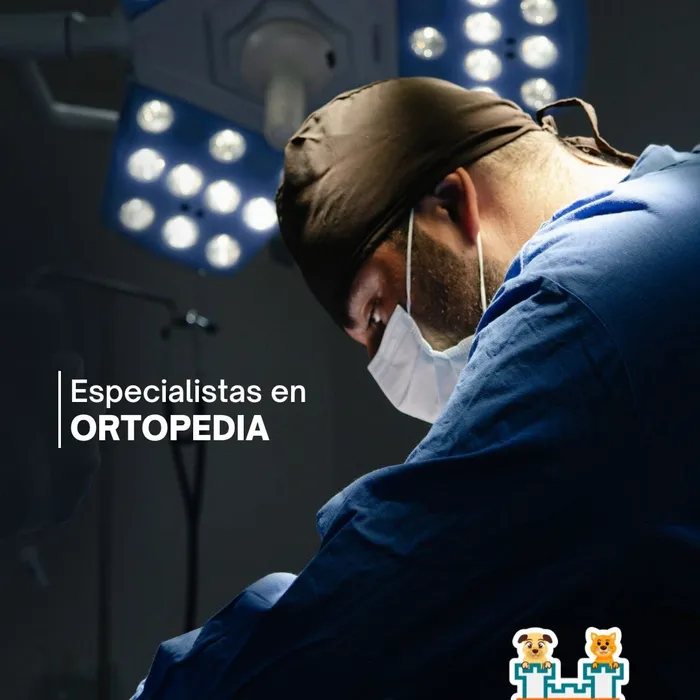 Instalaciones y pacientes reales de Hospital Veterinario Mascota Palacio
