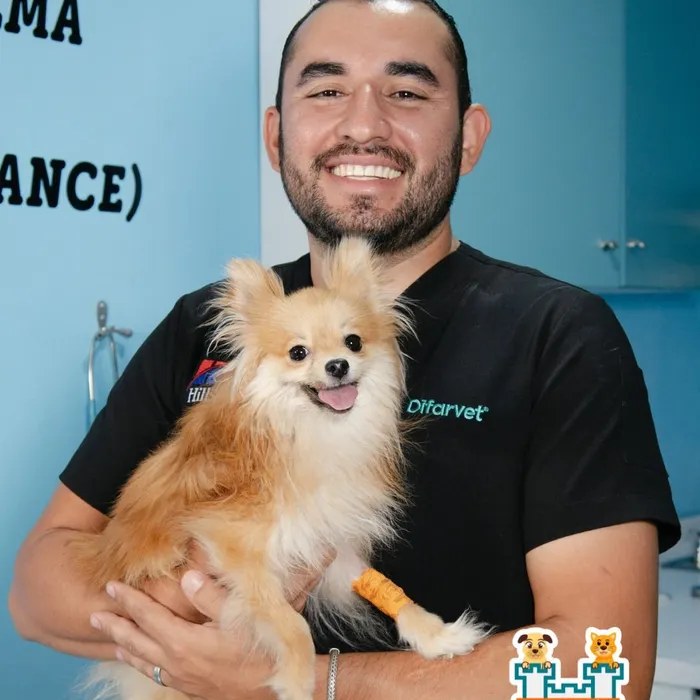 Instalaciones y pacientes reales de Hospital Veterinario Mascota Palacio