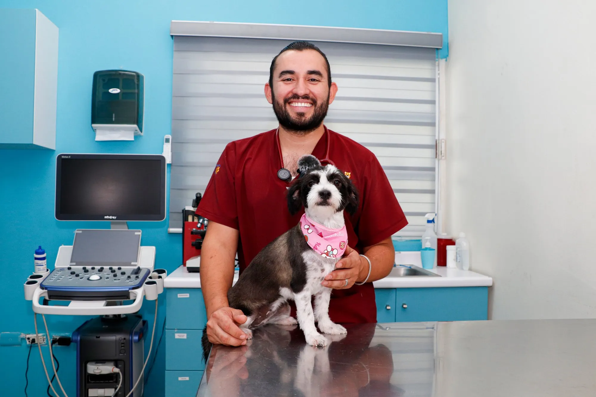 Veterinario de Hospital Veterinario Mascota Palacio en consulta con un paciente