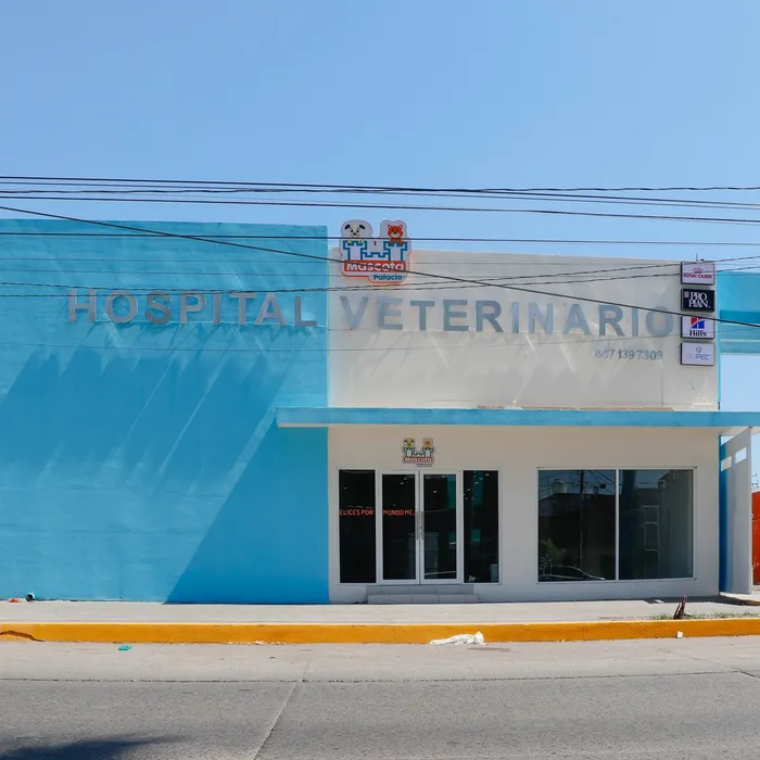 Instalaciones de Hospital Veterinario Mascota Palacio
