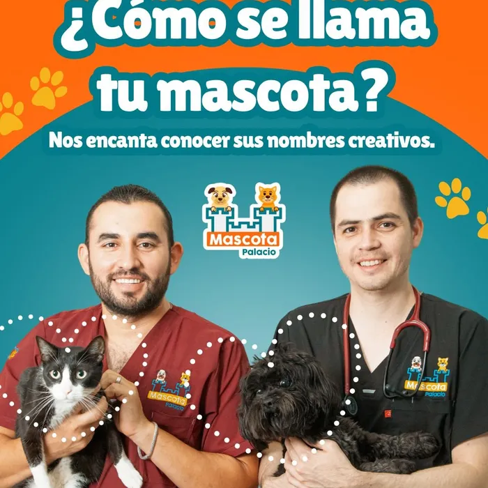 Instalaciones de Hospital Veterinario Mascota Palacio